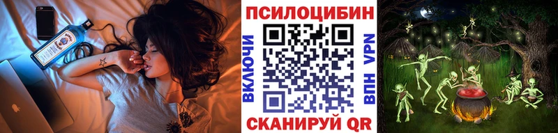 Галлюциногенные грибы Psilocybe shop какой сайт Абинск