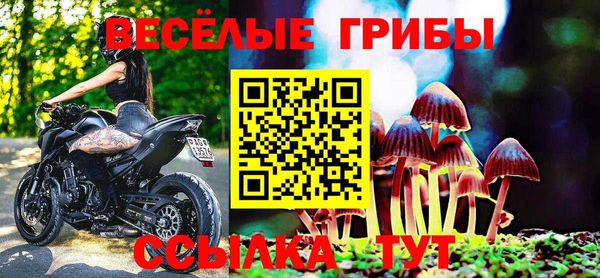 Псилоцибиновые грибы прущие грибы  купить закладку  Абинск  Вход с VPN 
