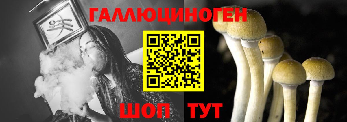 Псилоцибиновые грибы мухоморы Абинск